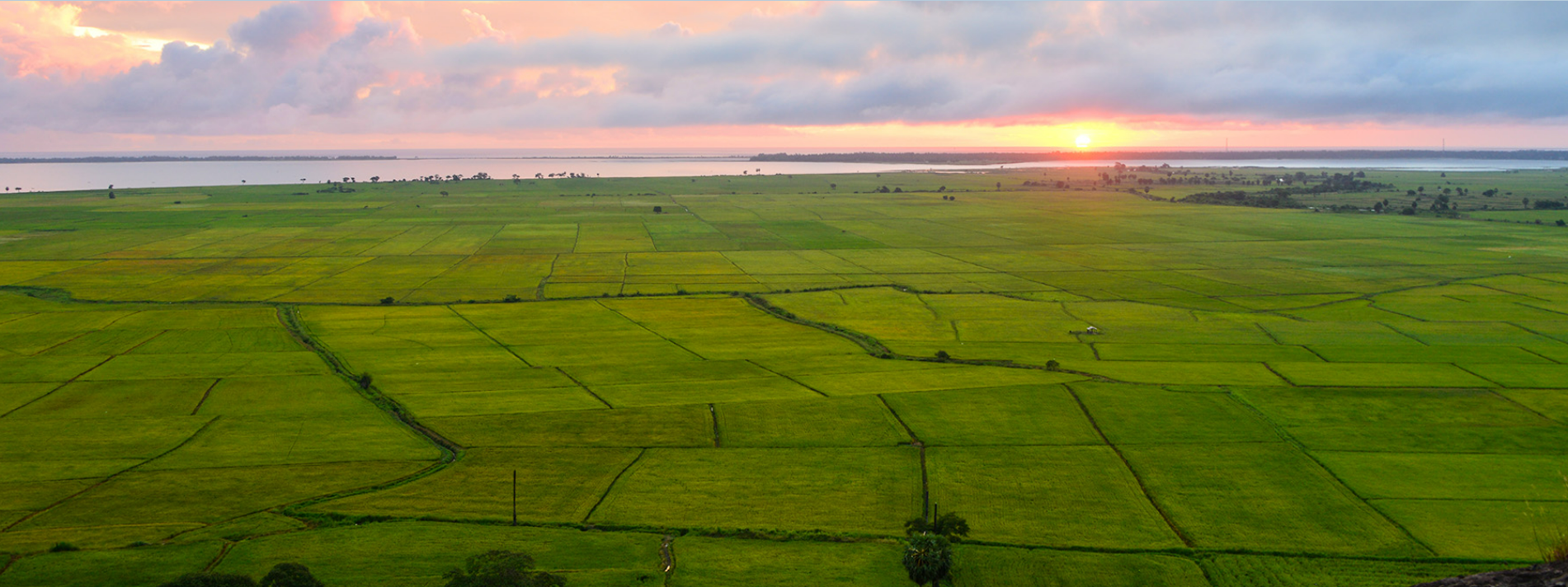 Mannankulam (Pvt) Ltd